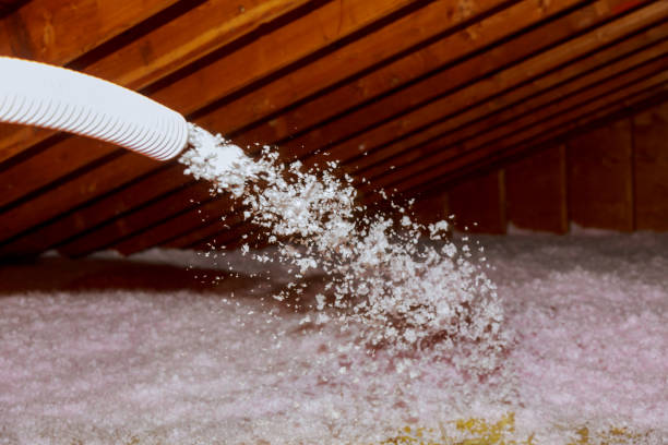 Best Best Insulation Companies  in Silsbee, TX