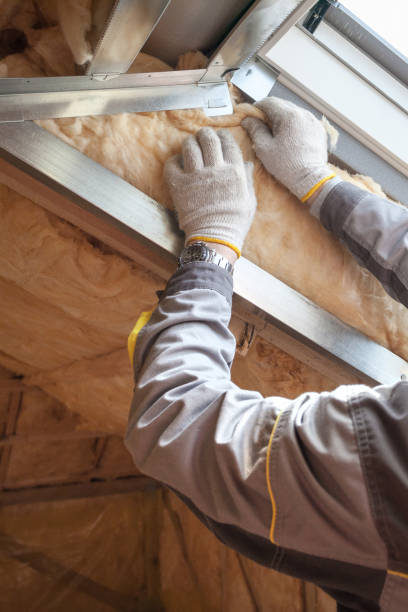 Best Affordable Insulation Services  in Silsbee, TX