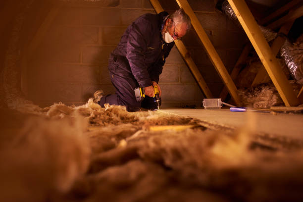 Best Spray Foam Insulation  in Silsbee, TX
